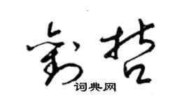 梁錦英劉哲草書個性簽名怎么寫