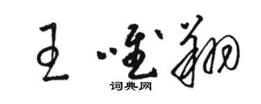 駱恆光王唯翔草書個性簽名怎么寫