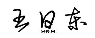 朱錫榮王日東草書個性簽名怎么寫