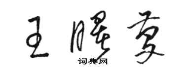 駱恆光王曙慶草書個性簽名怎么寫