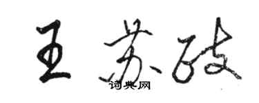 駱恆光王蘇政行書個性簽名怎么寫