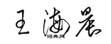 駱恆光王海晨草書個性簽名怎么寫