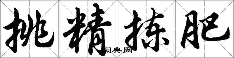 胡問遂挑精揀肥行書怎么寫