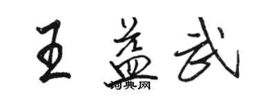 駱恆光王益武行書個性簽名怎么寫