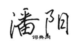 駱恆光潘陽行書個性簽名怎么寫