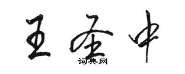 駱恆光王聖中行書個性簽名怎么寫