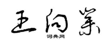 曾慶福王向業草書個性簽名怎么寫