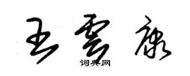 朱錫榮王雲康草書個性簽名怎么寫