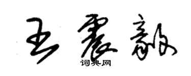 朱錫榮王震毅草書個性簽名怎么寫