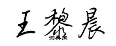 王正良王黎晨行書個性簽名怎么寫