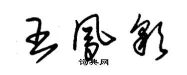 朱錫榮王鳳彩草書個性簽名怎么寫