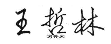 駱恆光王哲林行書個性簽名怎么寫