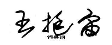 朱錫榮王挺宙草書個性簽名怎么寫