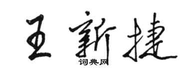 駱恆光王新捷行書個性簽名怎么寫