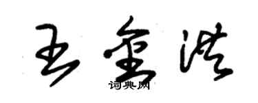 朱錫榮王金洪草書個性簽名怎么寫