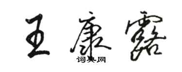 駱恆光王康露行書個性簽名怎么寫