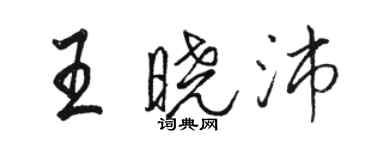 駱恆光王曉沛行書個性簽名怎么寫