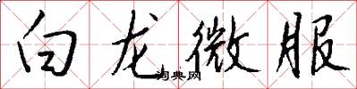 白龍微服怎么寫好看