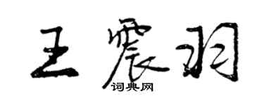 曾慶福王震羽行書個性簽名怎么寫