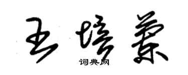 朱錫榮王培蘭草書個性簽名怎么寫