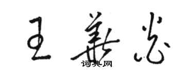 駱恆光王華炎草書個性簽名怎么寫