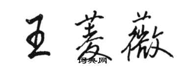 駱恆光王菱薇行書個性簽名怎么寫