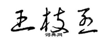 曾慶福王枝烈草書個性簽名怎么寫