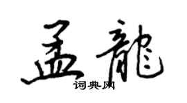 王正良孟龍行書個性簽名怎么寫