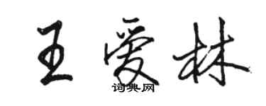 駱恆光王愛林行書個性簽名怎么寫