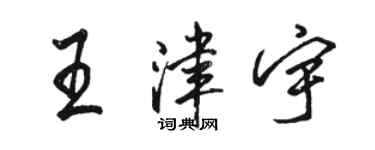 駱恆光王津宇行書個性簽名怎么寫