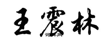 胡問遂王震林行書個性簽名怎么寫