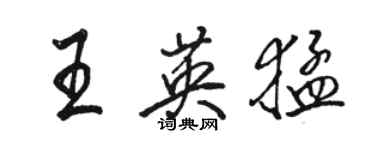 駱恆光王英猛行書個性簽名怎么寫