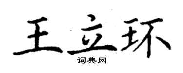 丁謙王立環楷書個性簽名怎么寫