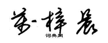 朱錫榮萬梓晨草書個性簽名怎么寫