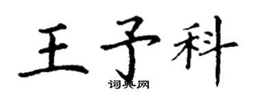 丁謙王予科楷書個性簽名怎么寫