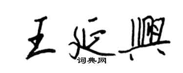 王正良王延興行書個性簽名怎么寫