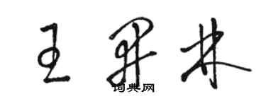 駱恆光王開林草書個性簽名怎么寫