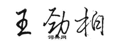 駱恆光王勁柏行書個性簽名怎么寫