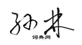 駱恆光孫林草書個性簽名怎么寫