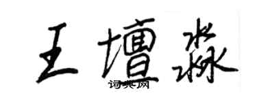王正良王壇淼行書個性簽名怎么寫