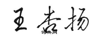 駱恆光王杏揚行書個性簽名怎么寫