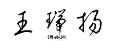 梁錦英王瑞揚草書個性簽名怎么寫