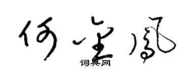 梁錦英何金鳳草書個性簽名怎么寫