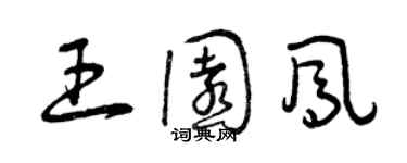 曾慶福王園鳳草書個性簽名怎么寫