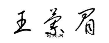 梁錦英王蘭眉草書個性簽名怎么寫