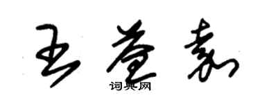 朱錫榮王益嘉草書個性簽名怎么寫