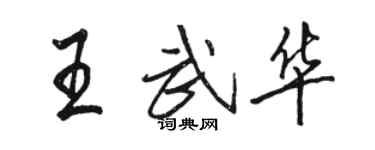 駱恆光王武華行書個性簽名怎么寫