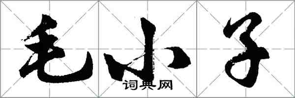 胡問遂毛小子行書怎么寫