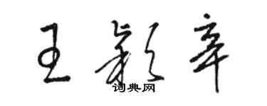 駱恆光王穎辛草書個性簽名怎么寫