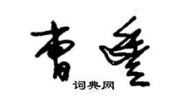 朱錫榮曹豐草書個性簽名怎么寫